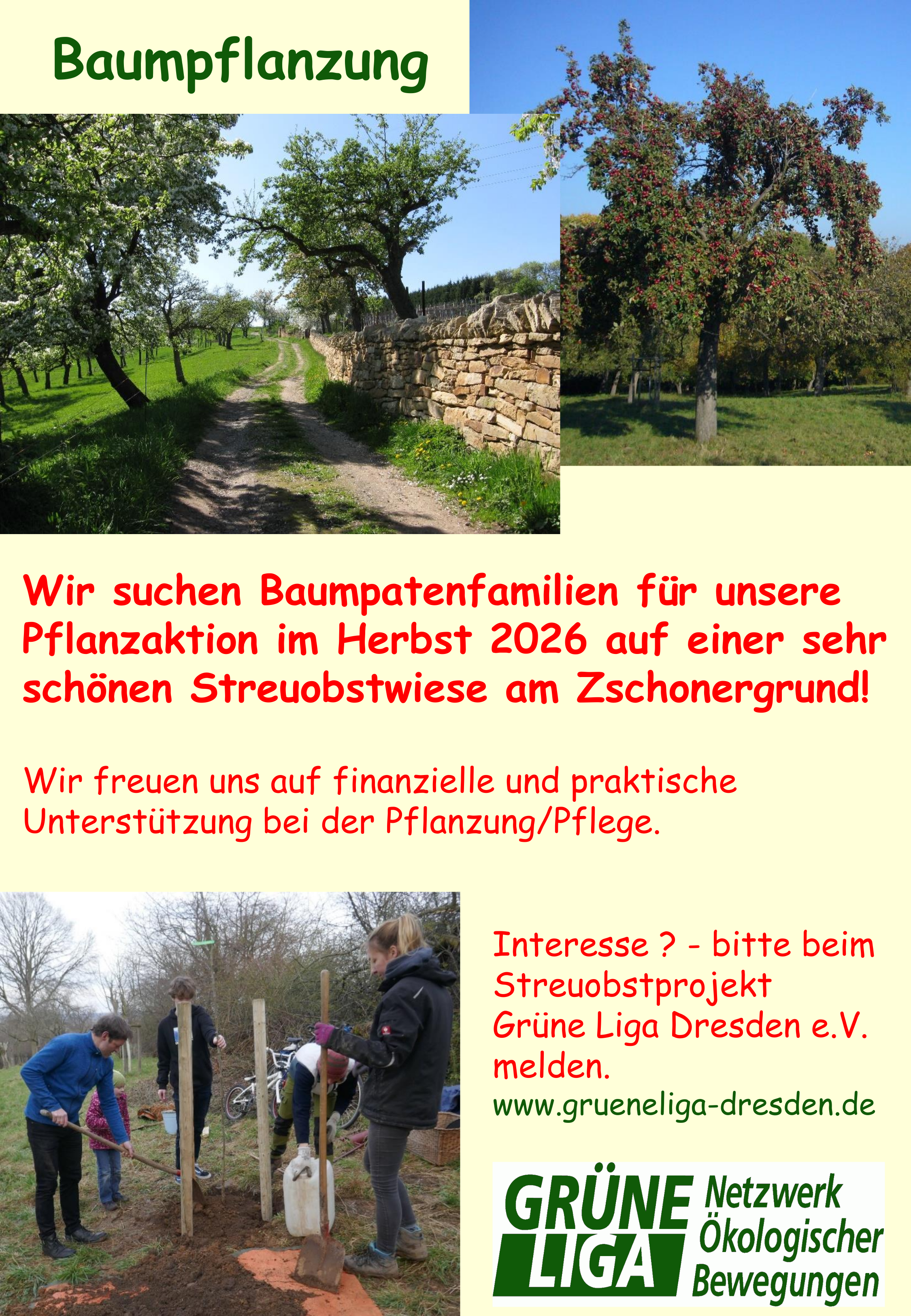 Werbung Baumpaten